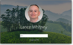 Pin sign-in
