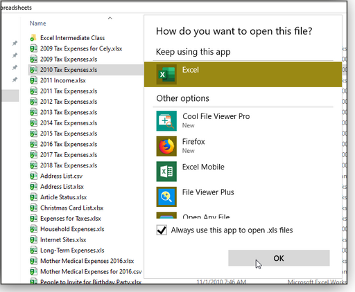 How do you want to open this file?