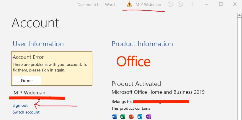 Microsoft Office Home & business 2019