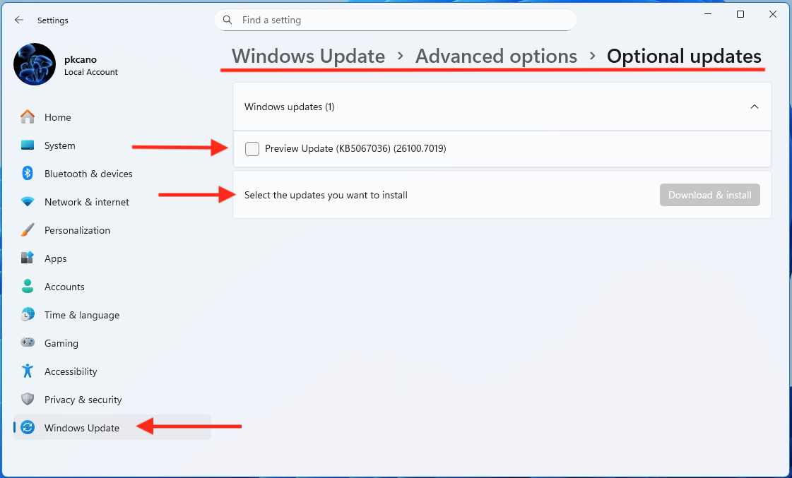 Topic Updates Topic: Windows Updating Issue @ AskWoody