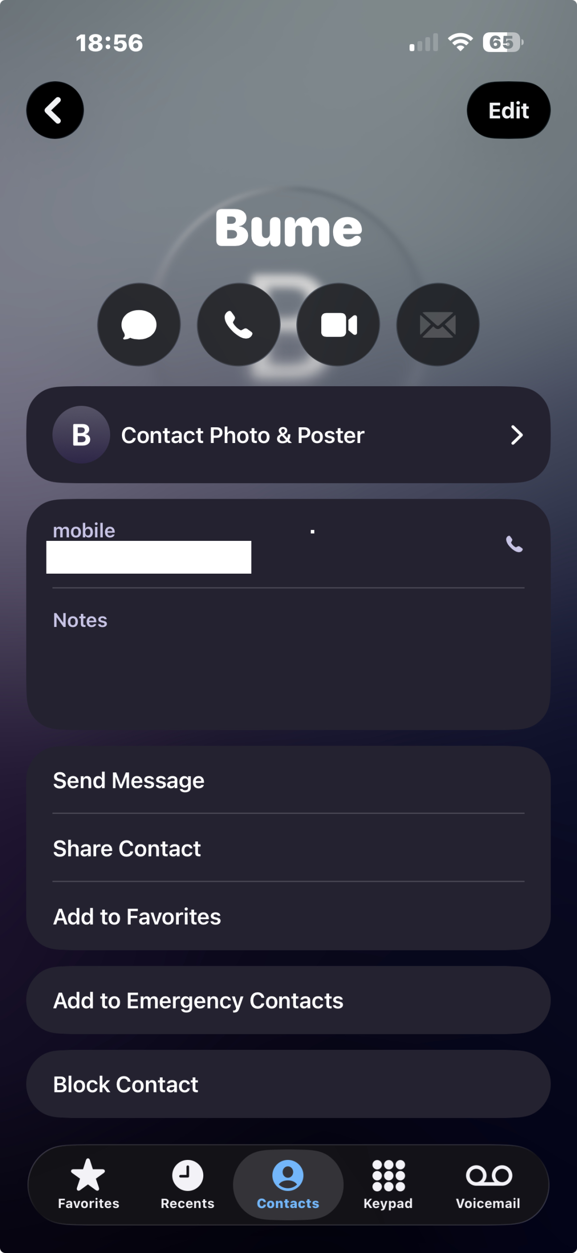 Topic: iOS 26 ‘Block Contact’ bug on SE2/3 models @ AskWoody