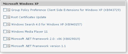 Windows update skips .net 3.0 for xp sp3