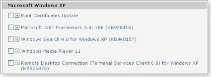 On a pc running xp sp2, windows update does offer .net 3.0